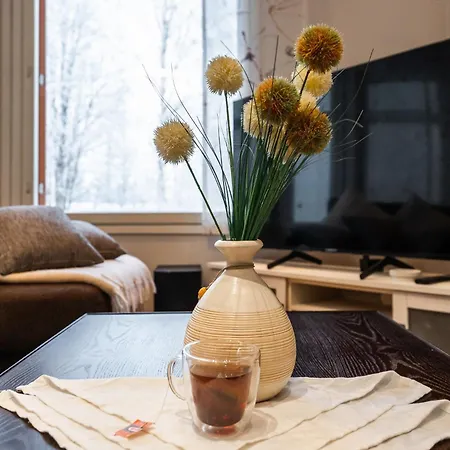 Arctic Haven By Booklapland Apartment *